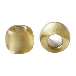 Toho perles de rocaille rondes&nbsp;X-SEED-TR11-0022BF