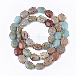 Natürliche Aqua Terra Jaspis Perlen Stränge&nbsp;X-G-S366-015A