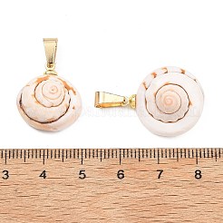 Natürliche Shiva Augenmuschel Anhänger&nbsp;PALLOY-JF05359