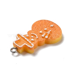 Pendentifs en résine opaque&nbsp;RESI-D055-129P