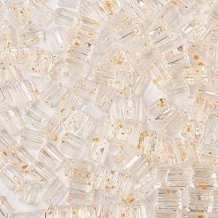 Transparente&nbsp;SEED-L011-10A-05