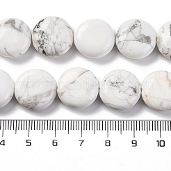 Natürliche Howlith Perlen Stränge&nbsp;G-C159-A01-01