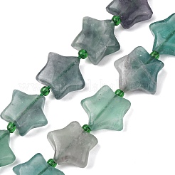 Natürlichen Fluorit Perlen Stränge&nbsp;G-K359-E14