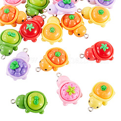 24pcs 6 couleurs pendentifs en résine opaque&nbsp;CRES-TA0001-78