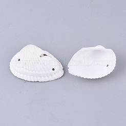 Link conchiglia&nbsp;SSHEL-T008-32