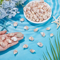 Ciondoli in conchiglia a spirale naturale da 150 g&nbsp;SHEL-SC0002-12