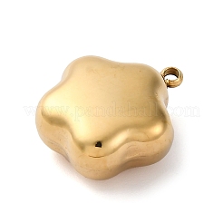 Anhänger aus chirurgischem Edelstahl 316&nbsp;STAS-K258-41A-G