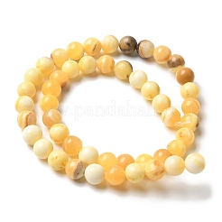 Natürliche gelbe Jade Perlen Stränge&nbsp;G-F591-17-8MM