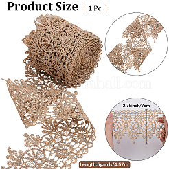 Ruban de bordure en dentelle brodée en polyester de 5 mètre&nbsp;OCOR-CY0001-23B