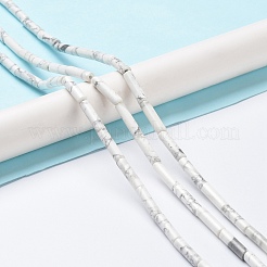 Natürliche Howlith Perlen Stränge&nbsp;G-K337-04