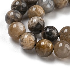 Natürlichen schwarzen Mondstein Perlen Stränge&nbsp;G-Q183-A01-01