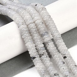 Natur Labradorit Perlen Stränge&nbsp;G-Q159-B10-01