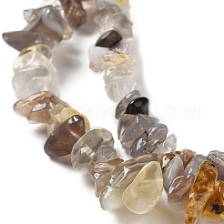Natur Botswana Achat Perlen Stränge&nbsp;LS-G-E607-A10