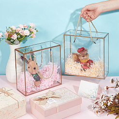 Transparente Geschenkbox aus PET-Kunststoff&nbsp;LS-AJEW-WH0166-06A-02