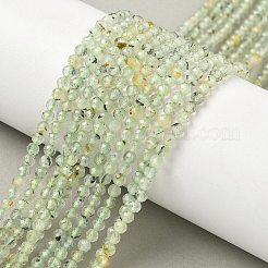 Chapelets de perles en préhnite naturelle&nbsp;G-S300-12-3mm-01