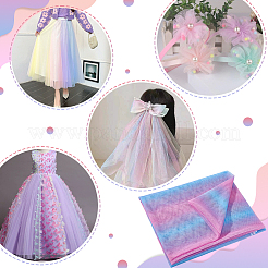 Regenbogenfarbenes Polyester-Mesh-Gewebe&nbsp;DIY-WH0504-162A