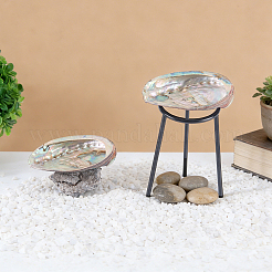 Decorazioni per espositori in conchiglia naturale&nbsp;DJEW-WH0042-143C