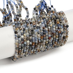 Natürliche kyanite Perlen Stränge&nbsp;G-M092-D03-01A
