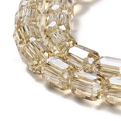 Chapelets de perles en verre électroplaqué&nbsp;EGLA-D030-19I