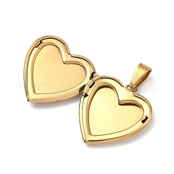 Pendentifs médaillons en acier inoxydable 304&nbsp;STAS-H255-02G-13