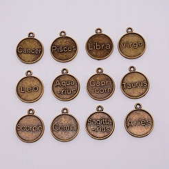 Aluminium Anhänger & Charms&nbsp;PALLOY-WH0070-49AB