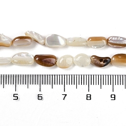 Stränge natürlicher Muschelperlen&nbsp;BSHE-H109-09