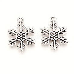 Tibetischer stil Aluminium Anhänger & Charms&nbsp;LS-TIBEP-3264-AS-NR