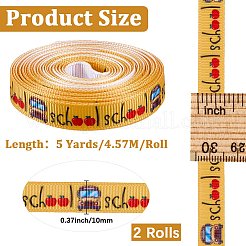 Ruban de polyester&nbsp;OCOR-WH20061-006