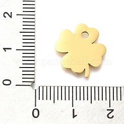 Placcatura ionica (ip) ciondoli in acciaio inossidabile 304&nbsp;STAS-K263-57C-G