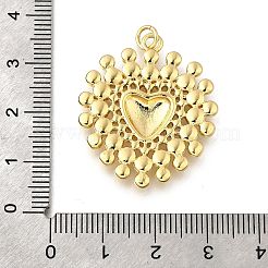 Messing Anhänger & Charms&nbsp;LS-KK-F899-14G