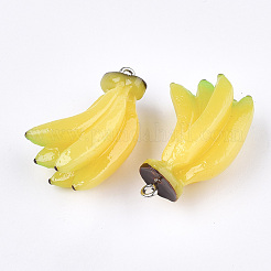 Pendentifs en résine&nbsp;LS-RESI-T028-46
