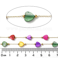 Placcatura ionica (ip) catene a graffetta in acciaio inossidabile 316 placcate in oro 18k&nbsp;AJEW-Z026-02F