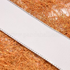 Ruban gros-grain câblé pour emballage de cadeaux&nbsp;SRIB-L010-25mm-029