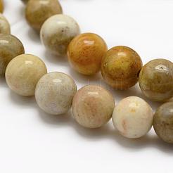 Fossiles naturelle perles de corail brins&nbsp;G-K194-4mm-05