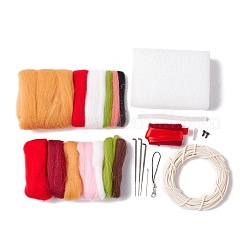 Kit de feutrage à l'aiguille bricolage&nbsp;DIY-D067-01P