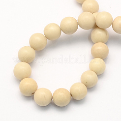 Perles rondes fossiles naturel brins&nbsp;G-S171-10mm