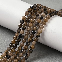 Brins de perles de chiastolite naturelles&nbsp;G-Q161-A03-01