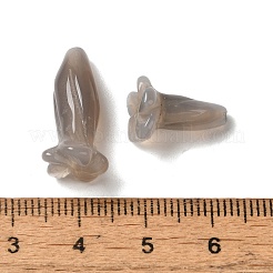 Natürlichen grauen Achat Perlen&nbsp;G-C054-09D