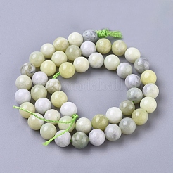 Brins de perles de jade de Sinkiang naturel&nbsp;G-L538-036-8mm