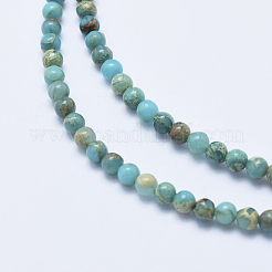 Natürliche Aqua Terra Jaspis Perlen Stränge&nbsp;G-E444-14A-4mm