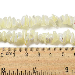 Natürliche Trochusmuschelperlenstränge&nbsp;SSHEL-H072-12
