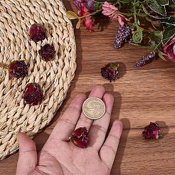 10 pièces pendentifs en plastique&nbsp;KY-SC0002-62