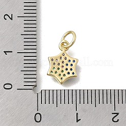 Messing Micro Pave Zirkonia Schneeflocken Charms&nbsp;KK-D431-041B-G