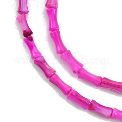 Naturali di acqua dolce perline shell fili&nbsp;SHEL-G013-01F