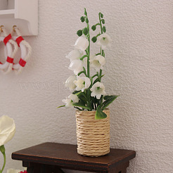 Ornamenti in miniatura in plastica&nbsp;PW-WG36445-01