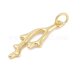 Messing Anhänger & Charms&nbsp;KK-Q028-66G