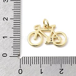 Messing Anhänger & Charms&nbsp;KK-L262-27G-02