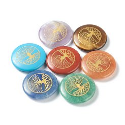 Chakra Anfänger Kit&nbsp;G-G973-09A