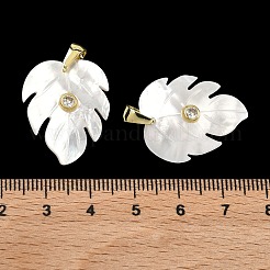 Pendenti intagliati in conchiglia bianca naturale&nbsp;SHEL-B180-01G