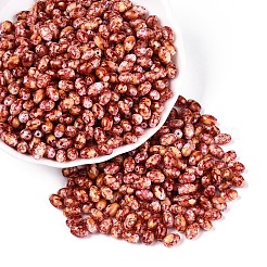Spray bemalte Glasperlen&nbsp;SEED-T007-14B